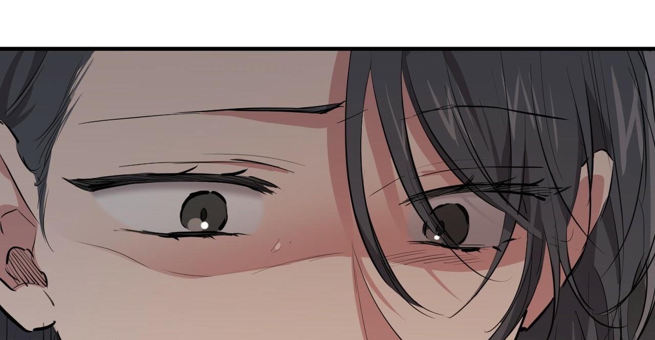 đàn thỏ của habibi chapter 36 169