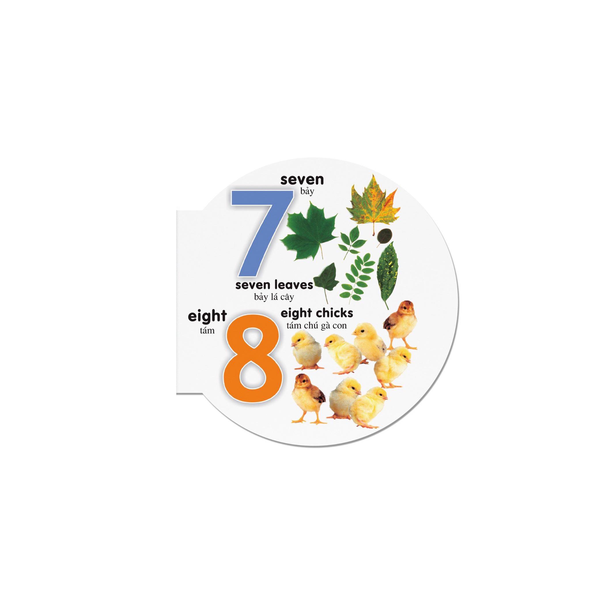Picture Dictionary - Từ Điển Bằng Hình - Numbers - Số Đếm - Bìa Cứng