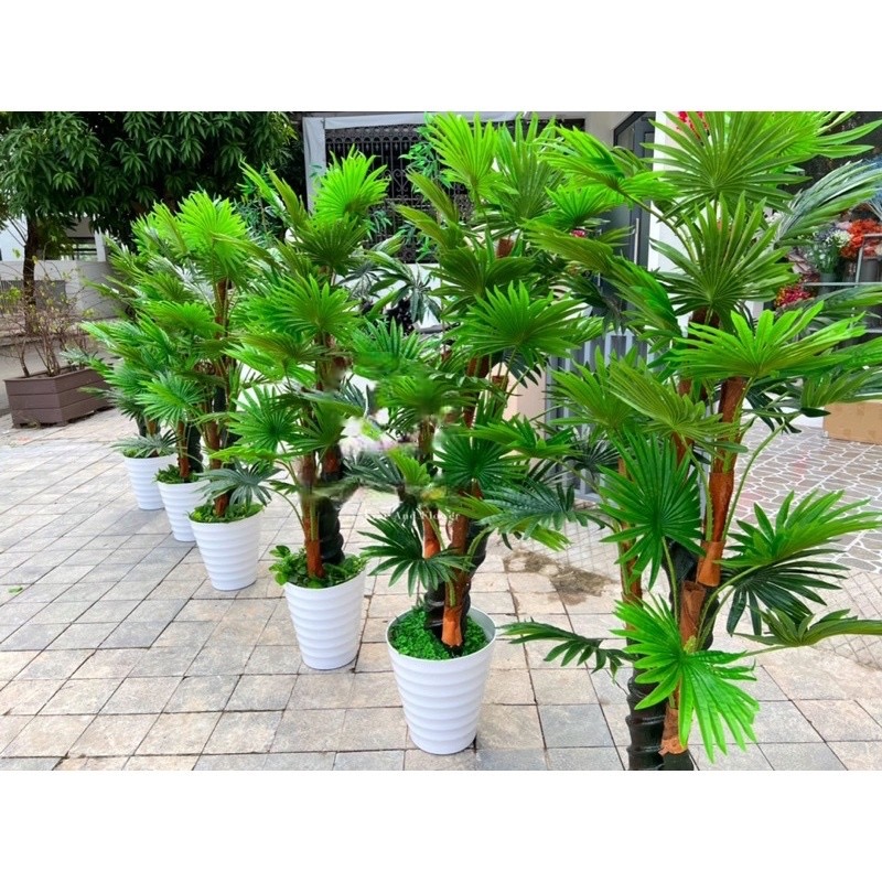 Cây cọ giả - Chiều cao từ 170cm đến 180cm - Cây giả, hoa lụa Decor trang trí nhà cửa