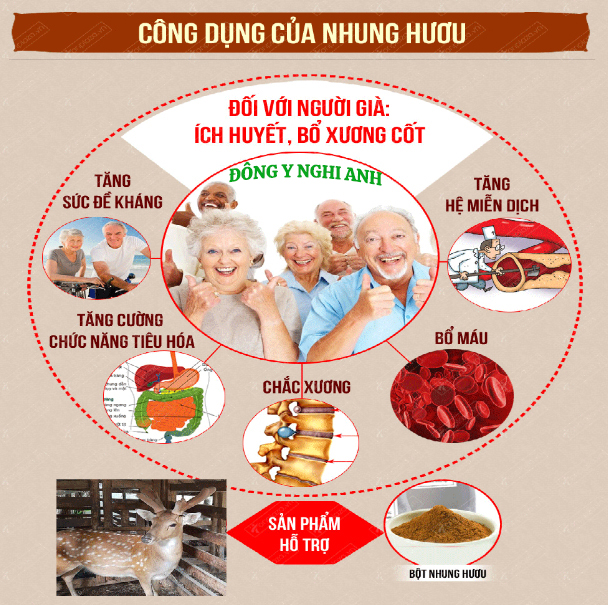 Nhung hươu sấy thăng hoa hộp 100gr Đông Y Nghi Anh giúp bồi bổ sức khỏe tăng sức đề kháng