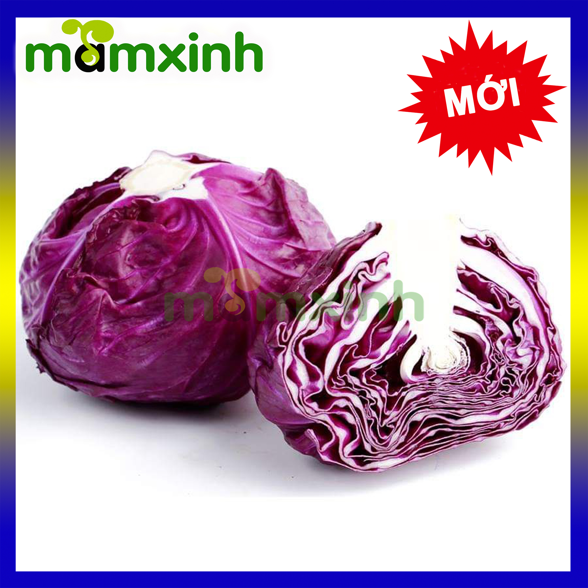 Hạt Giống Bắp Cải Tím Nhật Bản Gói 1gr