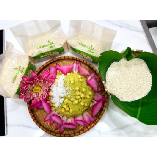 Nếp Cái Hoa Vàng (Nếp Bắc) - Dẻo mềm, thơm ngon đặc trưng - Túi 1Kg - SẢN PHẨM MỚI