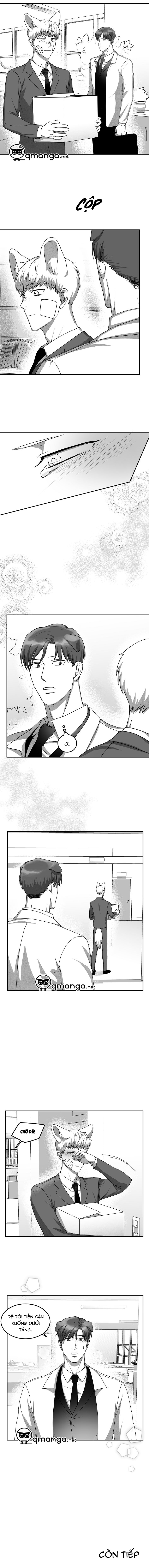 khi cún biết yêu chapter 19 12