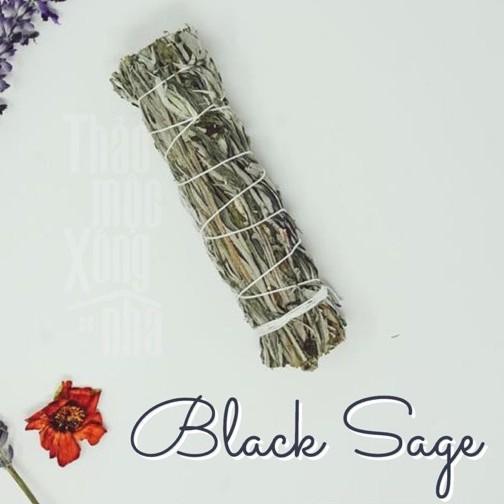 BLACK SAGE XÔ THƠM ĐEN sức mạnh tinh thần