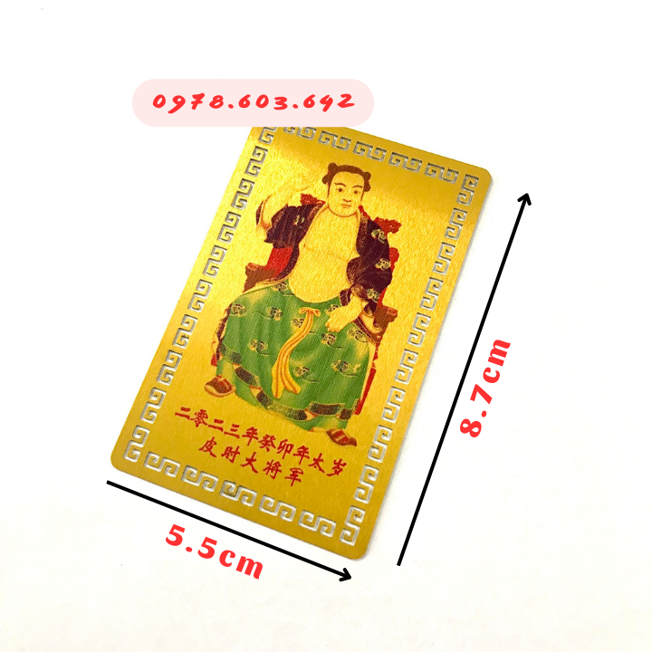 Kim Bài Thái Tuế 2023 Người Tuổi Tý, Ngọ, Mão , Dậu, Thìn - Bằng Đồng - SP006055