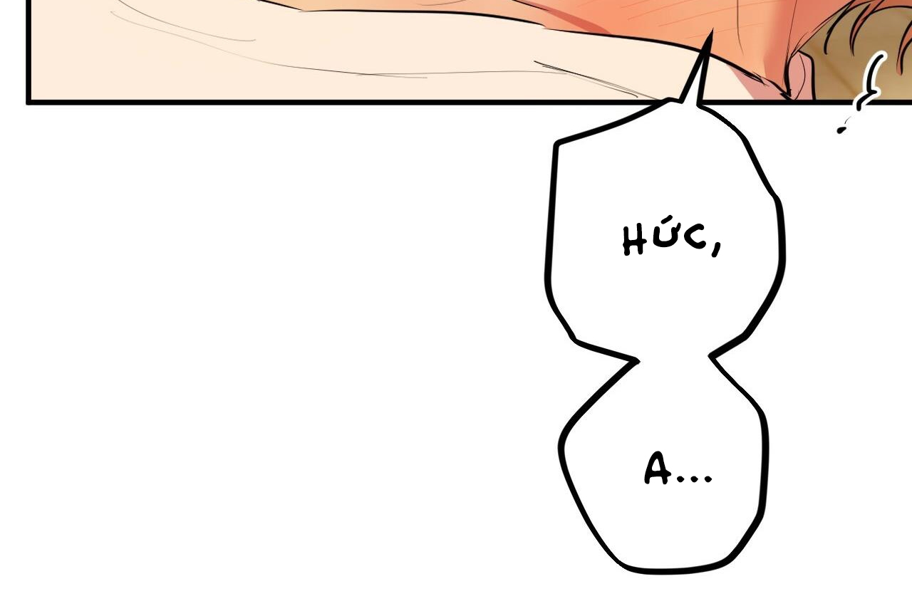 đàn thỏ của habibi chapter 28 191