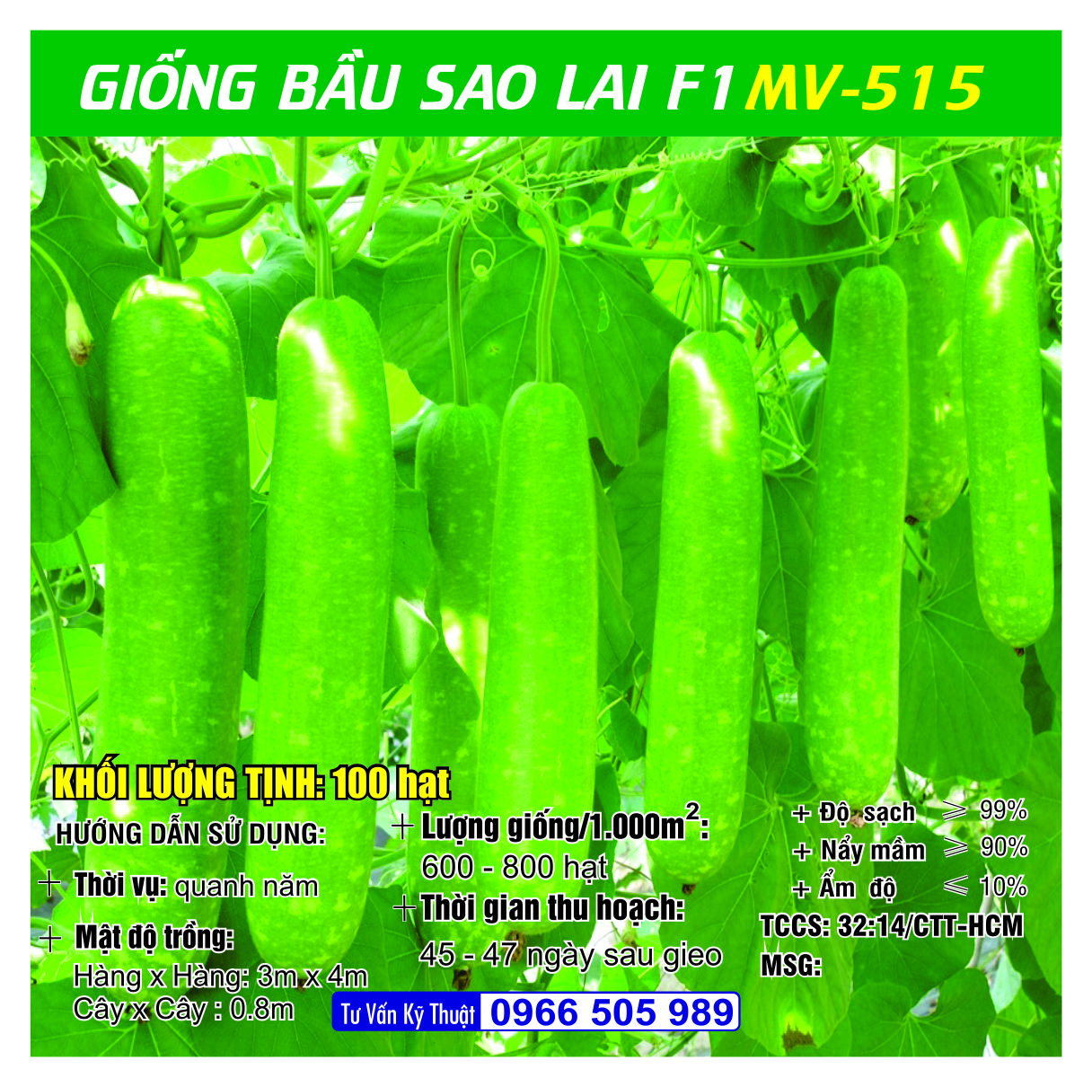 HẠT GIỐNG BẦU SAO F1 (100 HẠT)