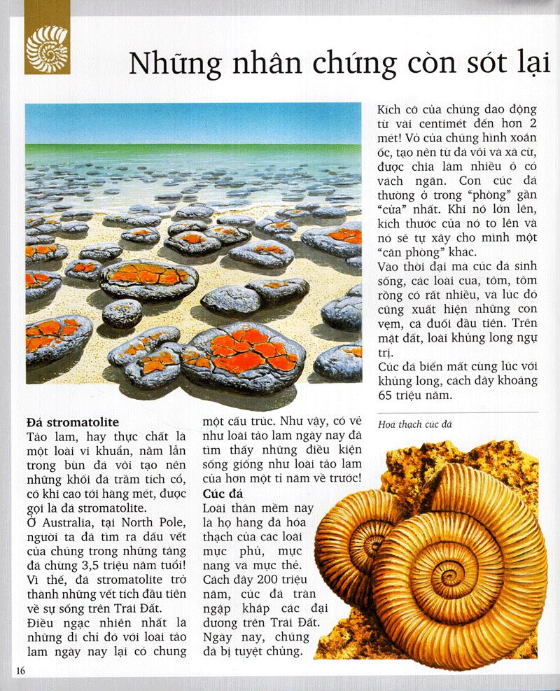 Kì Quan Thiên Nhiên (Tái Bản 2020)