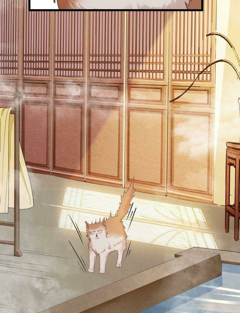 sát thủ vương phi không dễ chọc chapter 40 46