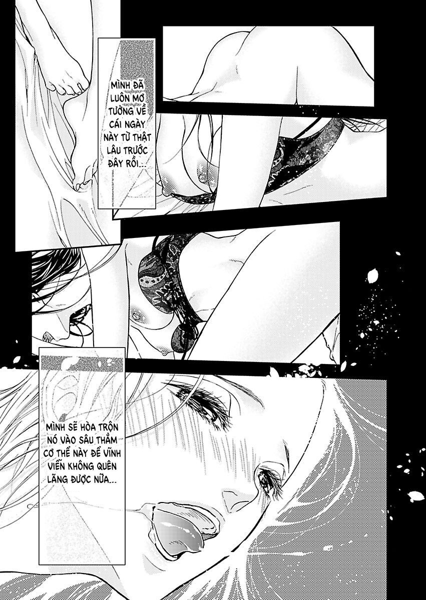 mộng ước trên những trang giấy (full) chapter 7.2 8