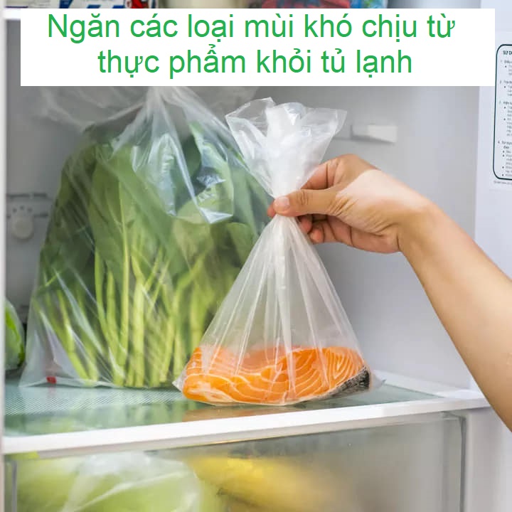 Túi Đựng Thực Phẩm Tự Hủy Sinh Học DandiHome loại 250gr