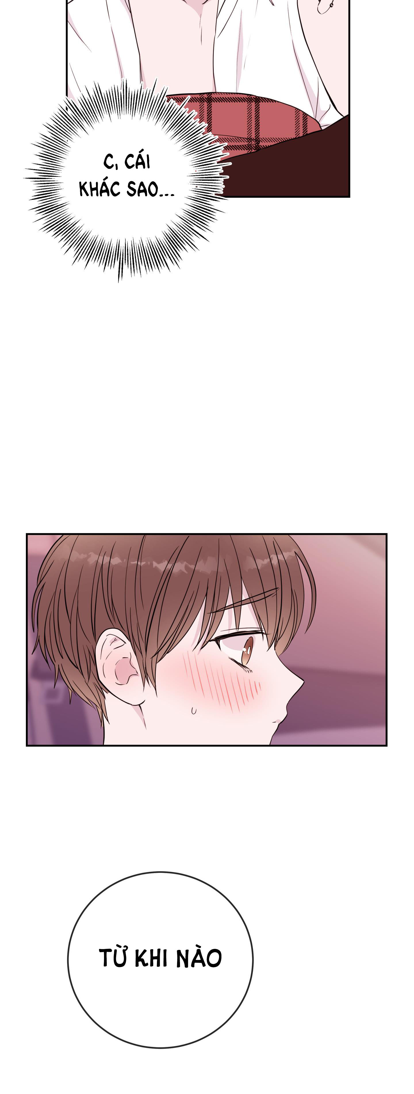 em trai vợ thật nguy hiểm chapter 24.2 9