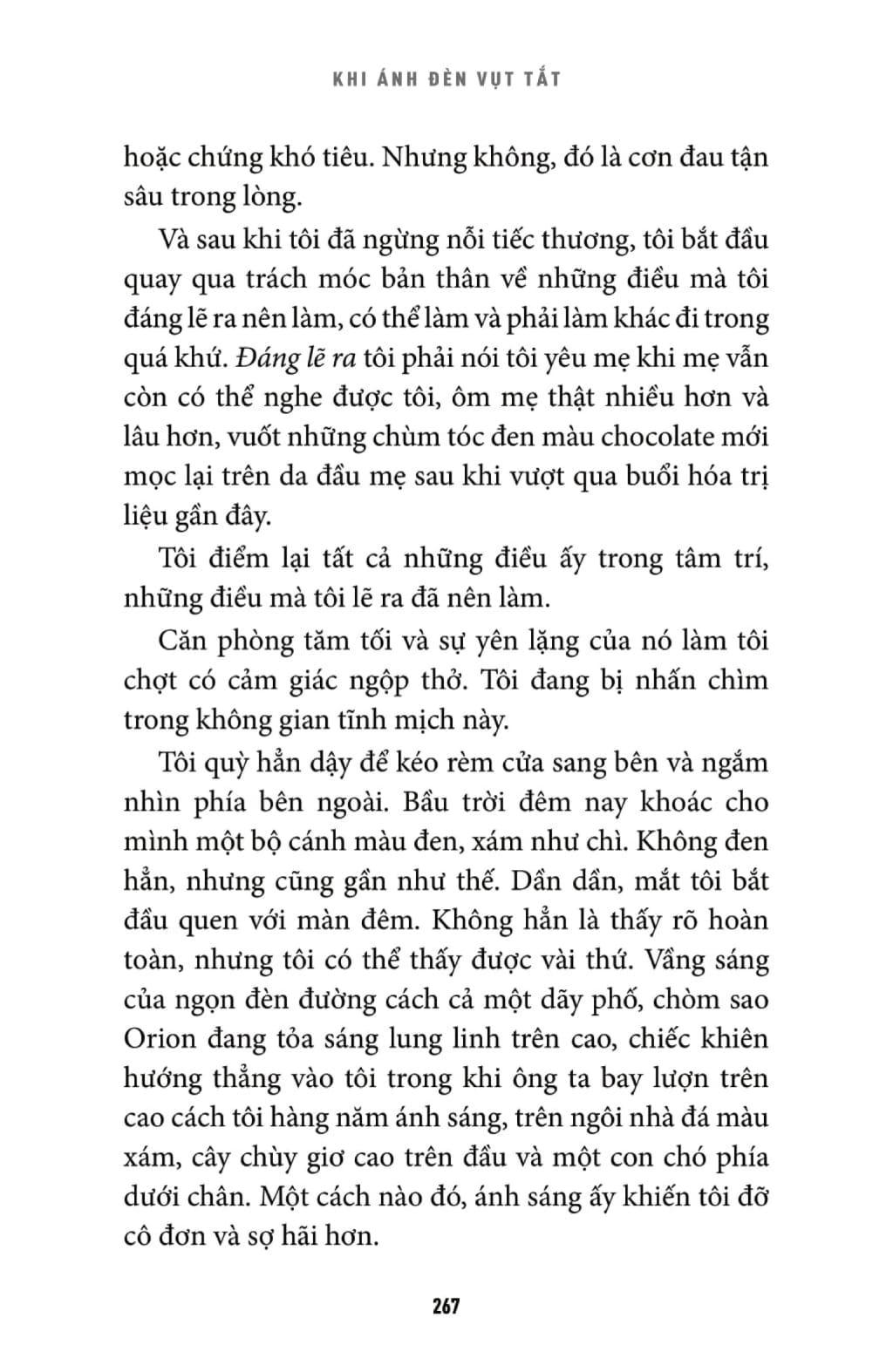 Khi Ánh Đèn Vụt Tắt (Tiểu Thuyết)
