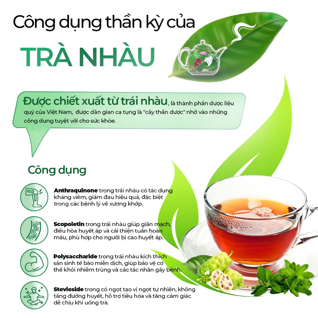 Trà Nhàu Rừng Sunbeleaf - Trà Thảo Mộc Giảm Đau Nhức Xương Khớp, Giảm Viêm, Đau Nhức Mãn Tính - Trà Túi Lọc Hộp 25 Gói