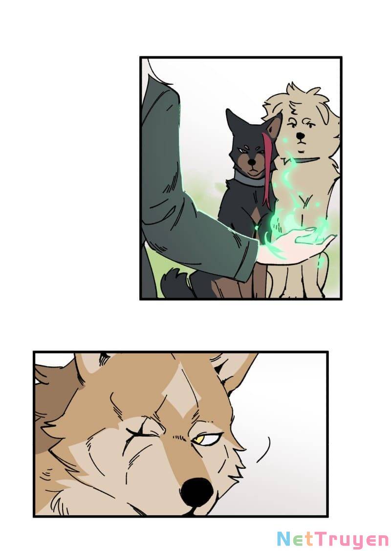 lumine - cội nguồn ánh sáng chapter 150 14