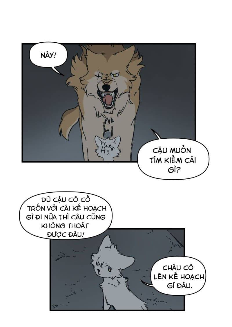 lumine - cội nguồn ánh sáng chapter 141 22