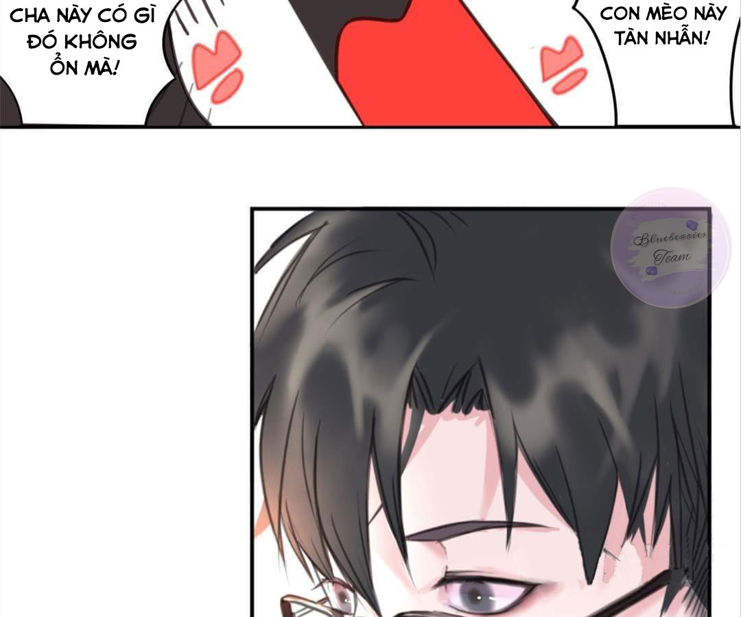 social cat chapter 1 71