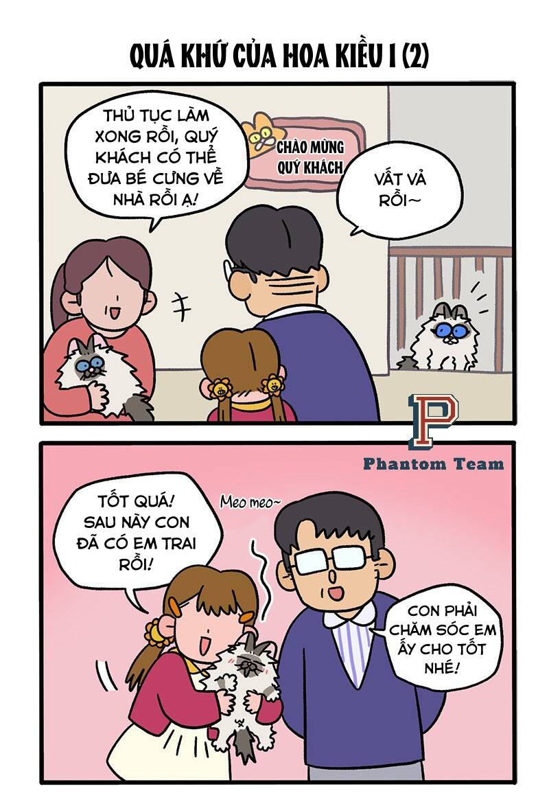 a mãn và mạch trà chapter 47 3