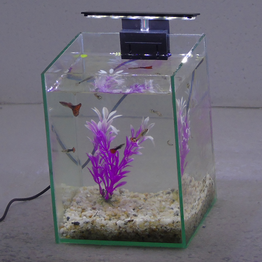 Bể cá mini để bàn 15x15x20 có đèn