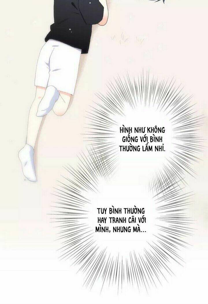 con tim rung động 3 chapter 48.5 9