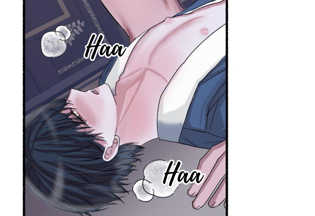 Hoa Triều chapter 21