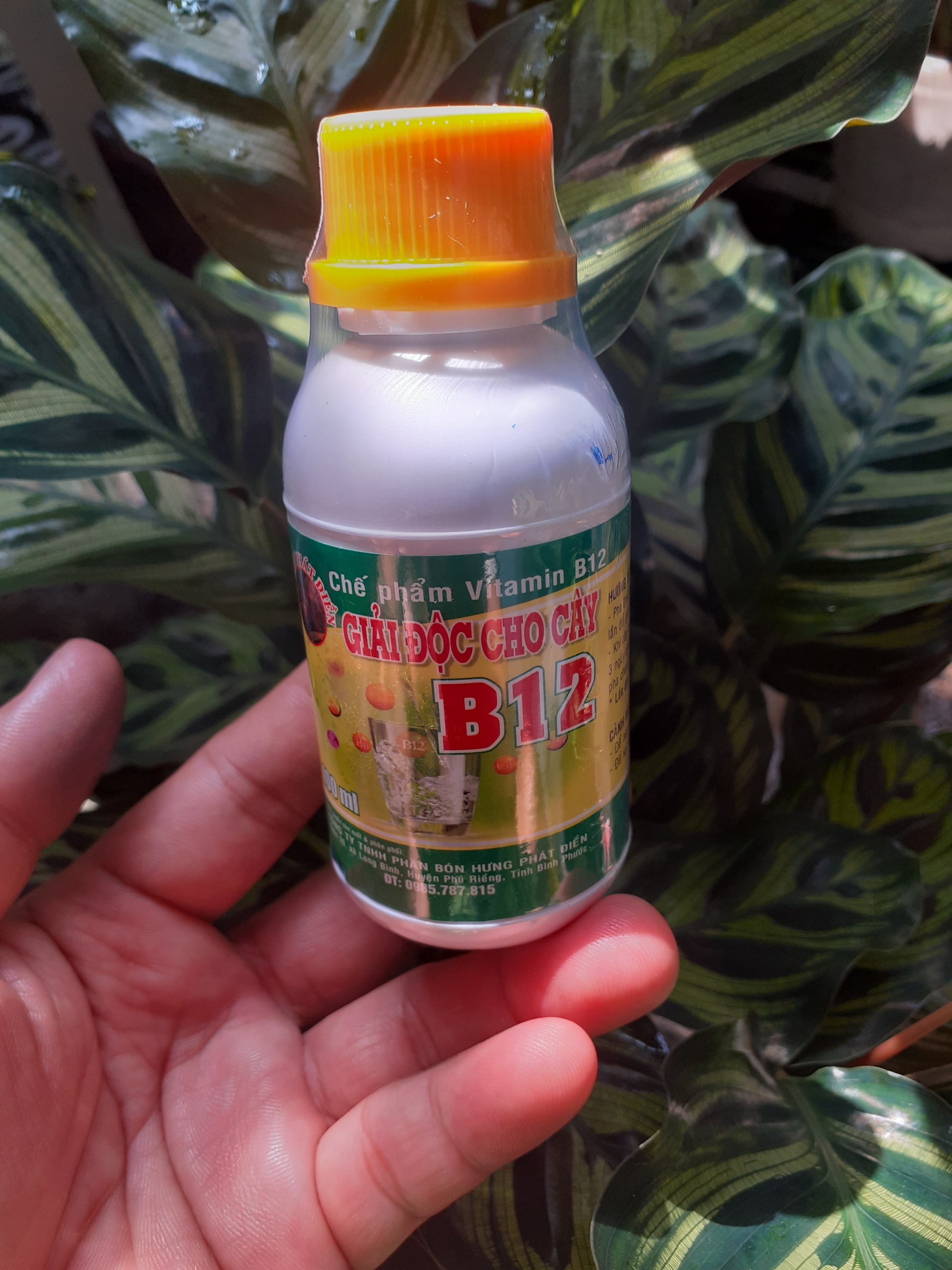 Vitamin B12 giải độc cho cây trồng