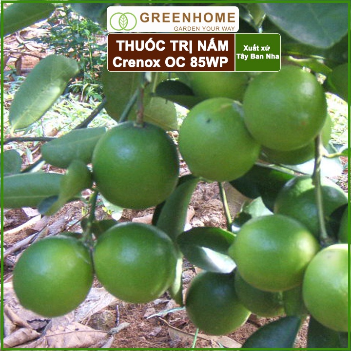 Thuốc Trị Nấm Cây Trồng Greenhome, Coc85 Wp, Gói 20gr, Trừ Đốm Lá Cho Hoa Hồng, Nấm Trên Kiểng Lá, Cây Cảnh, Cây Ăn Quả