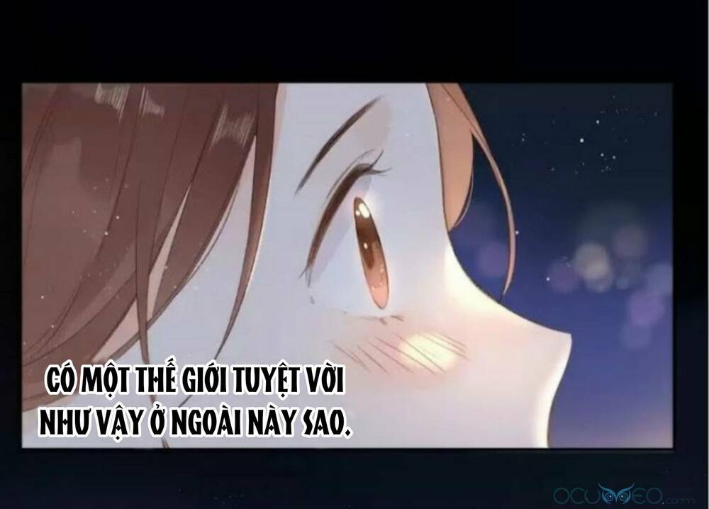 sos! tôi đã yêu một con sâu bướm (phần 2) chapter 15 22