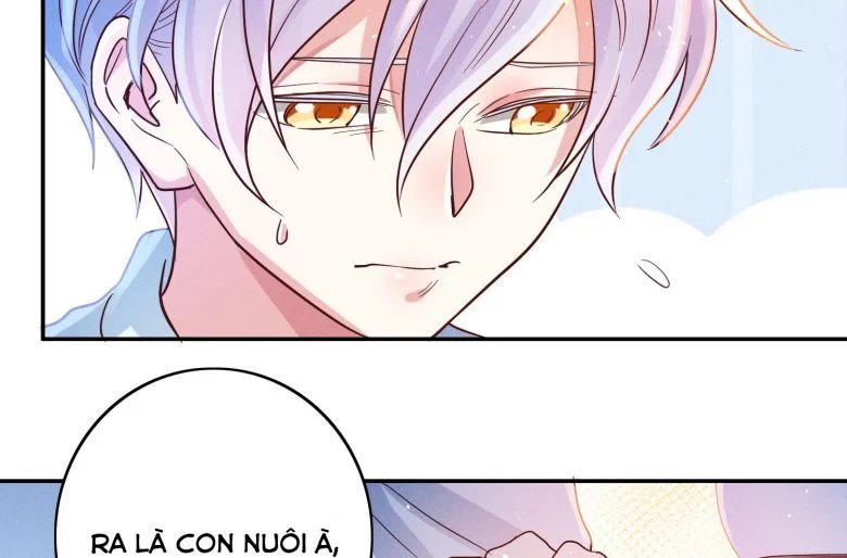 mê muội mất cả ý chí chapter 41 71