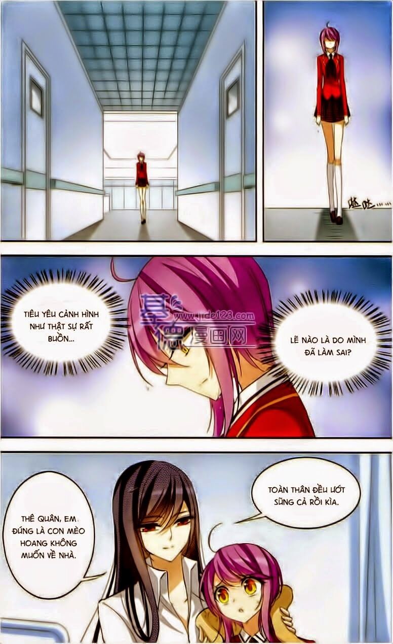 thiên giáng hiền thục nam (full) chapter 77 6