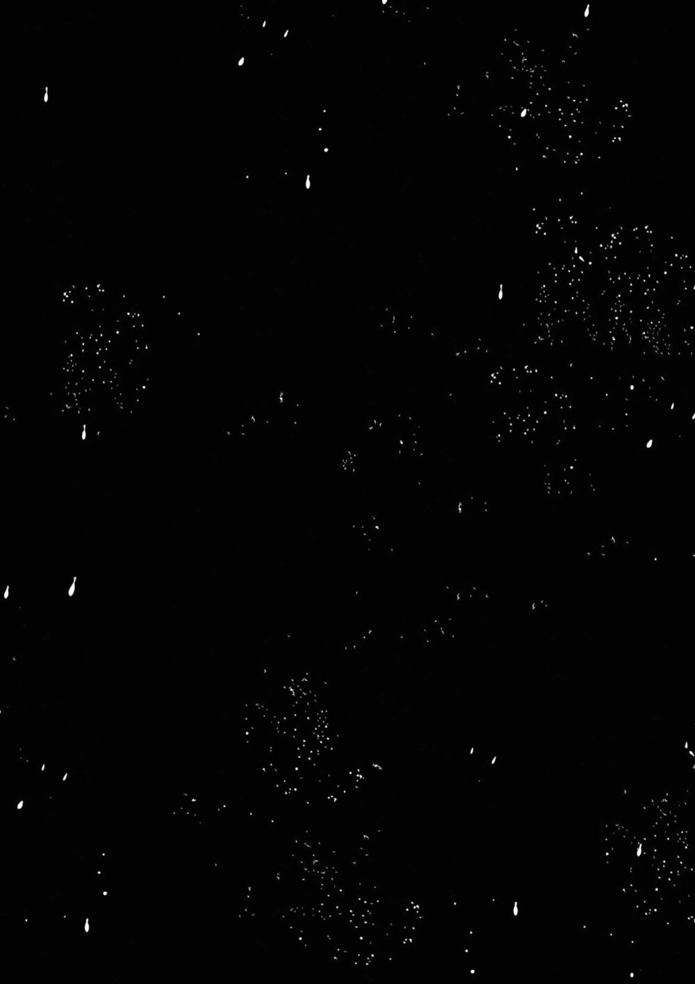 itoshi no ko, charlotte chapter 17.5 3