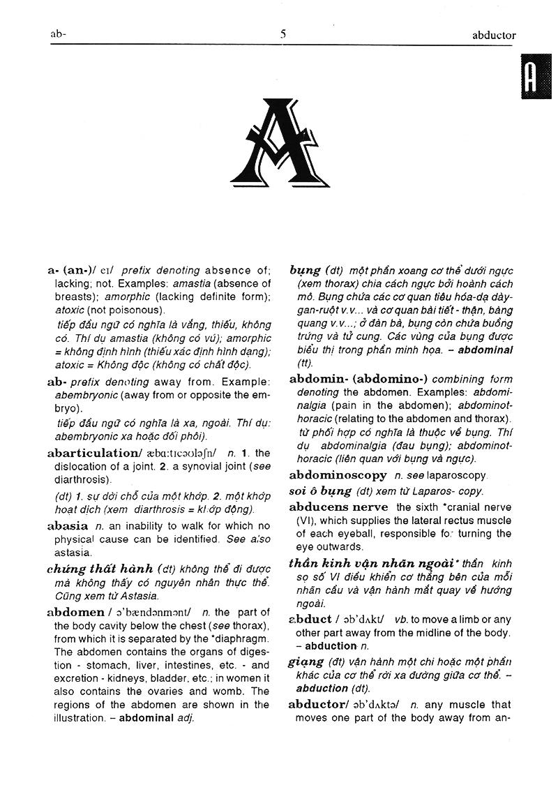 Từ Điển Y Học Anh - Việt