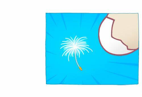 soft boiled chapter 2.1 5