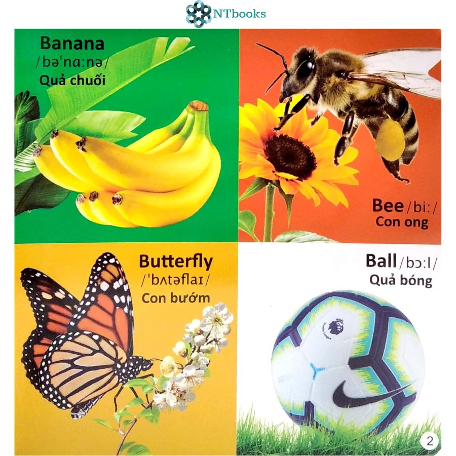 Sách 101 Từ đầu tiên: Bảng chữ cái Tiếng Anh