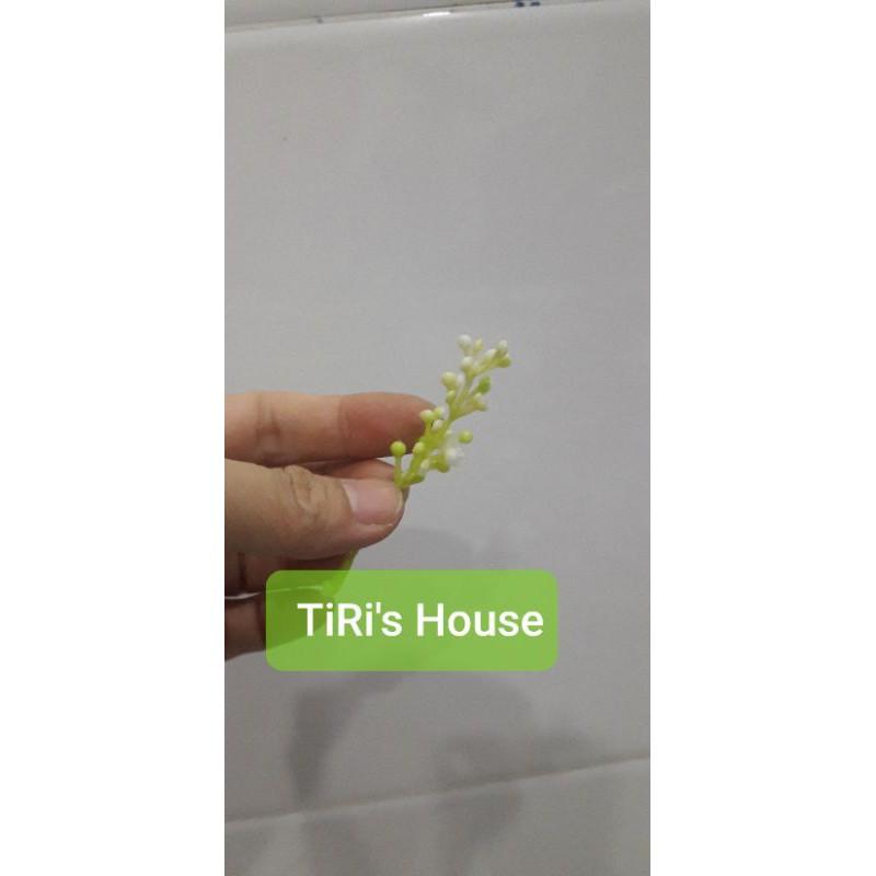 100gr Cỏ điểm ký trộn mẫu hoặc 1 mẫu