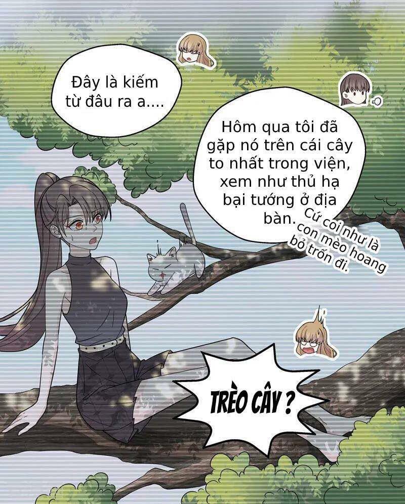 thiên kim bất lương chapter 41 14