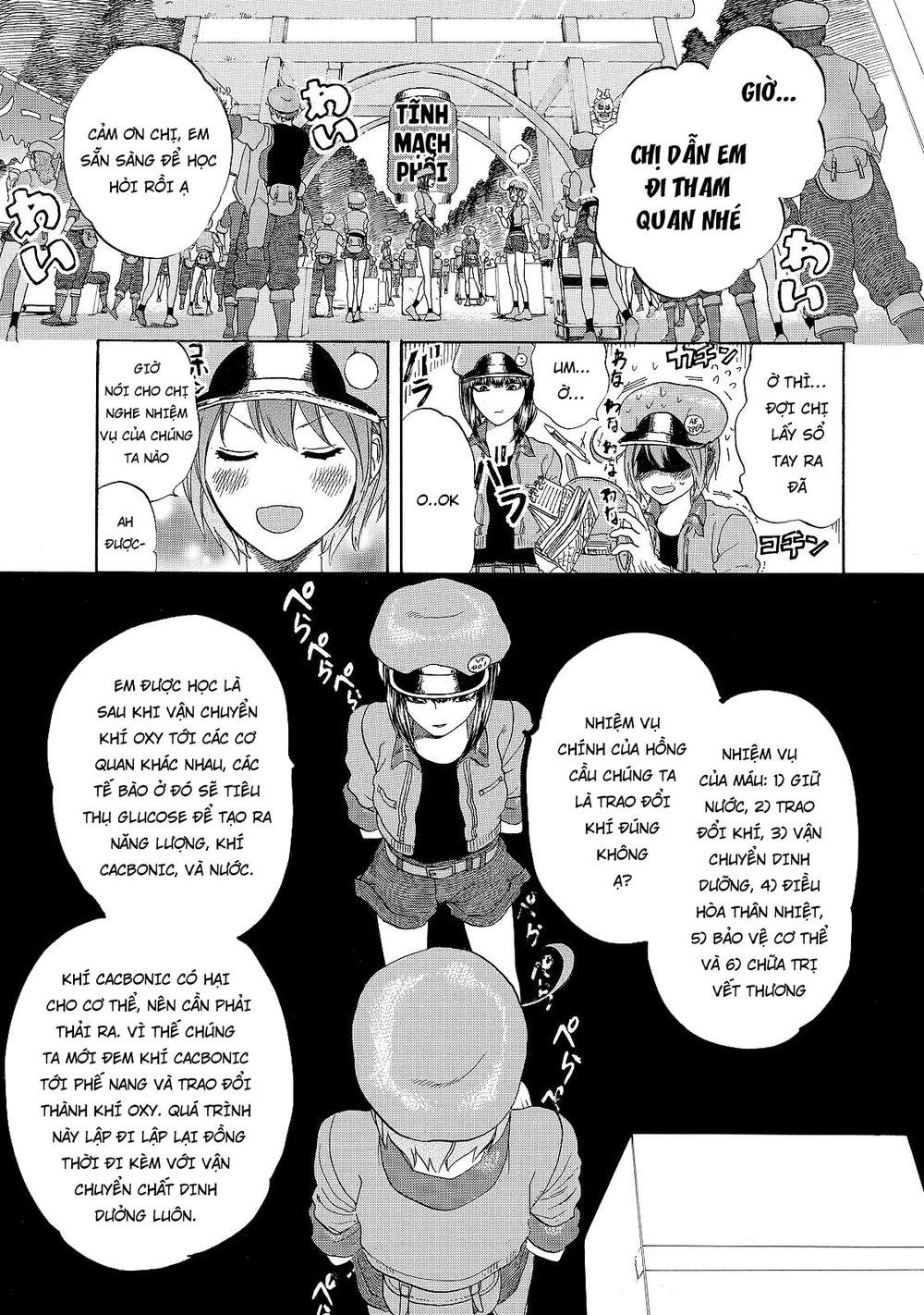 hataraku saibou! chapter 17 5