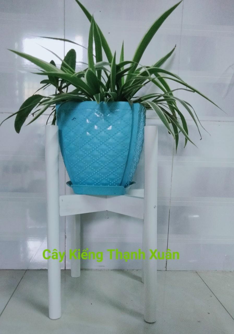 Kệ Đôn Gỗ Để Chậu Cây-Giá Đỡ Chậu Hoa Kích Thước Lọt Lòng 26cm, Màu trắng