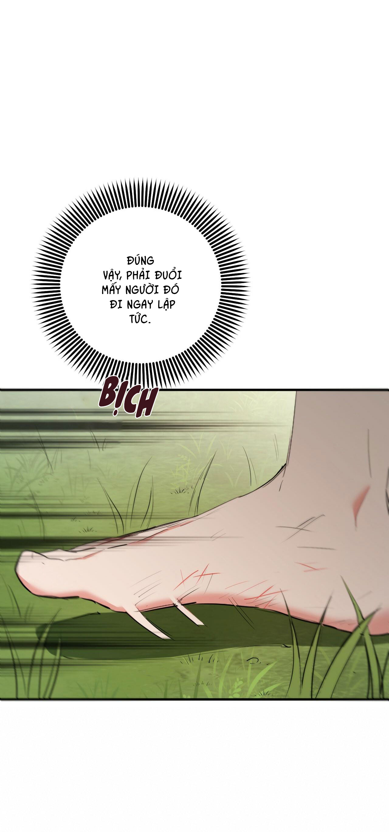 những chú thỏ của hapypy chapter 36 51