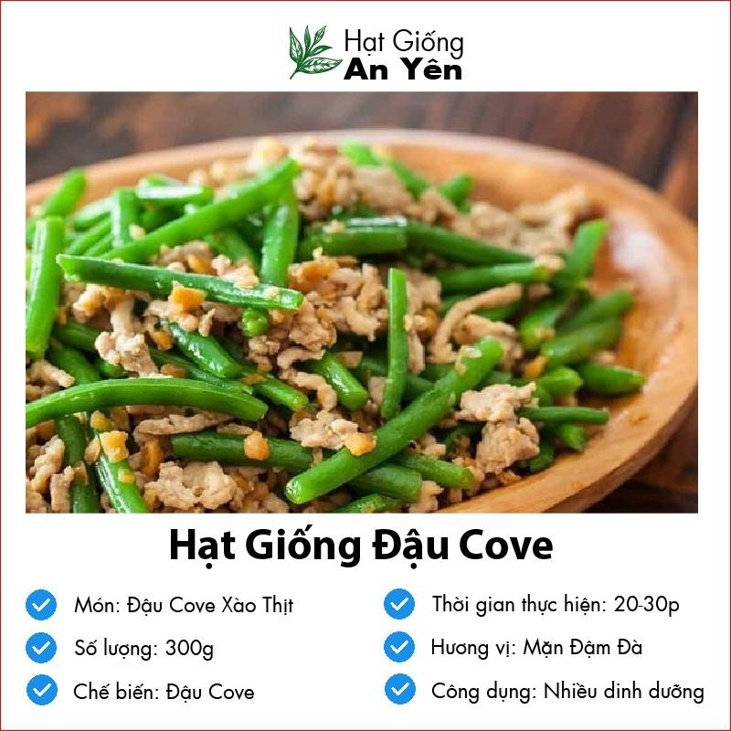 Hạt giống Đậu Cove F1 thu hoạch sớm, dễ trồng, nảy mầm cao, sinh trưởng khoẻ