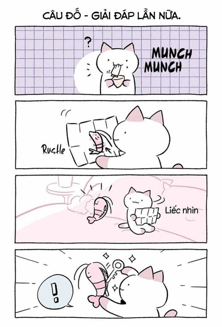 chú mèo kỳ diệu kyuu-chan chapter 672 3