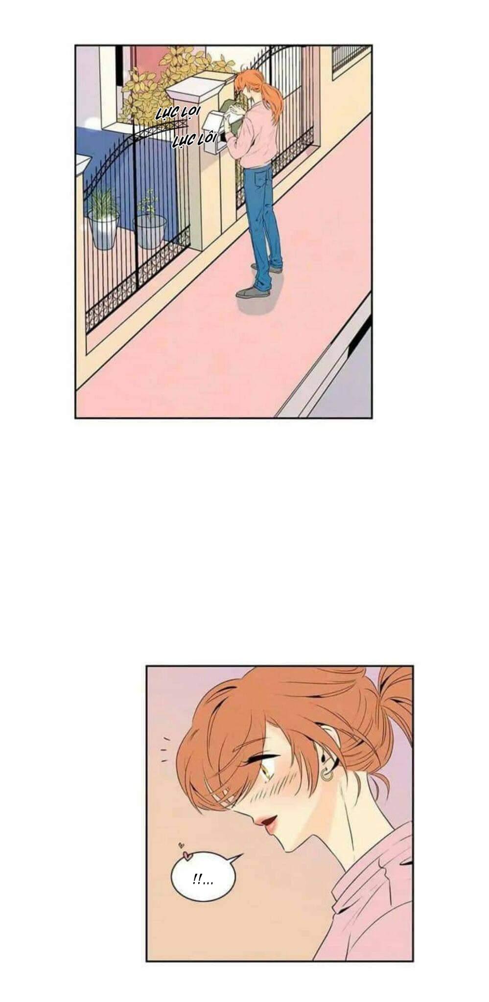 bona sort chapter 17 19