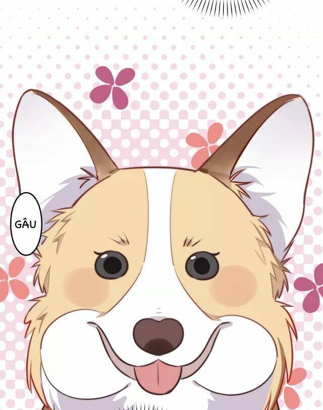 tình yêu trên cùng một dòng chapter 3.1 11