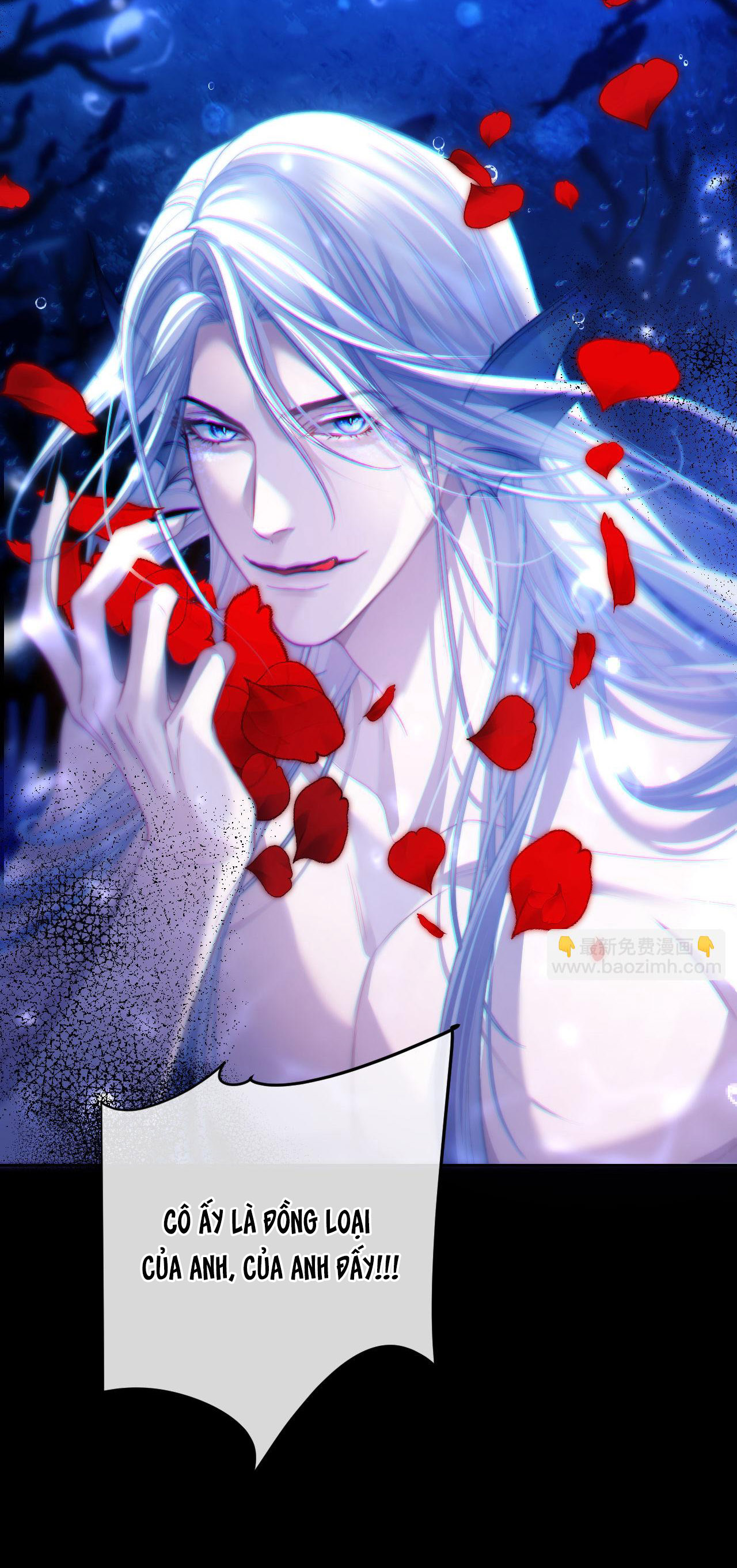 nhân ngư dessaro chapter 12 20