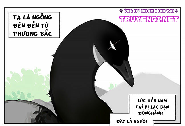 sẻ chiếu mới và nhạn phong sương chapter 8 1