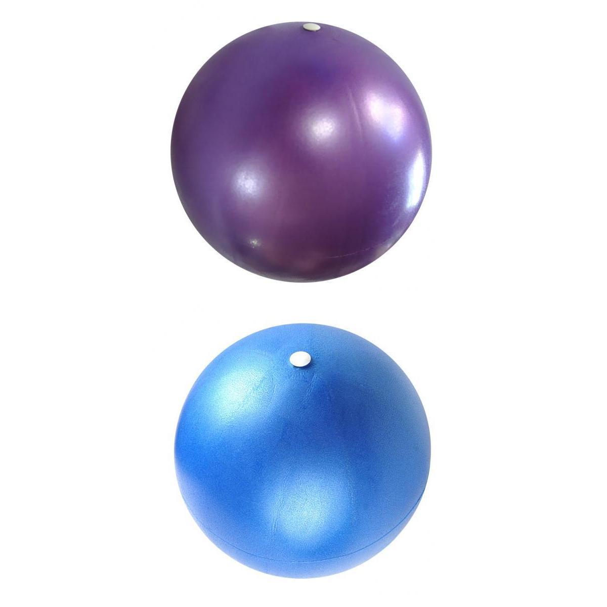 2Pcs Yoga Balls 25cm / 9.84 inch resistant Ball Stability Gym Training Balance Exercise Balls