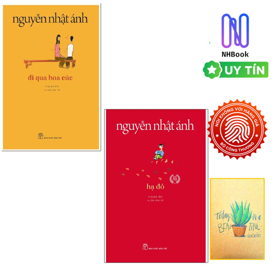 Combo Đi Qua Hoa Cúc và Hạ Đỏ