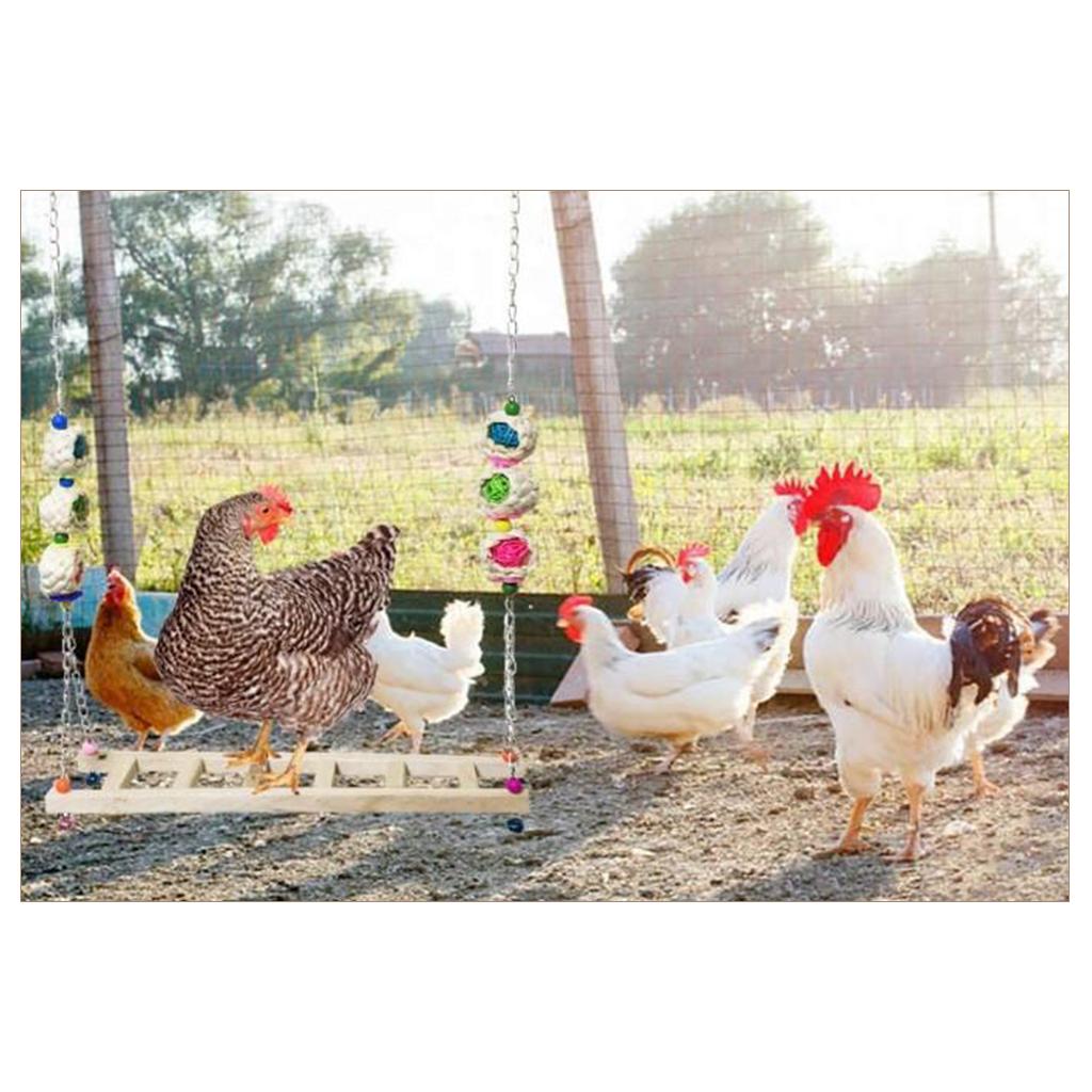 Chicken Swing Pet Swing Chewing Toys for Hens Large Bird Parrot Macaw Training