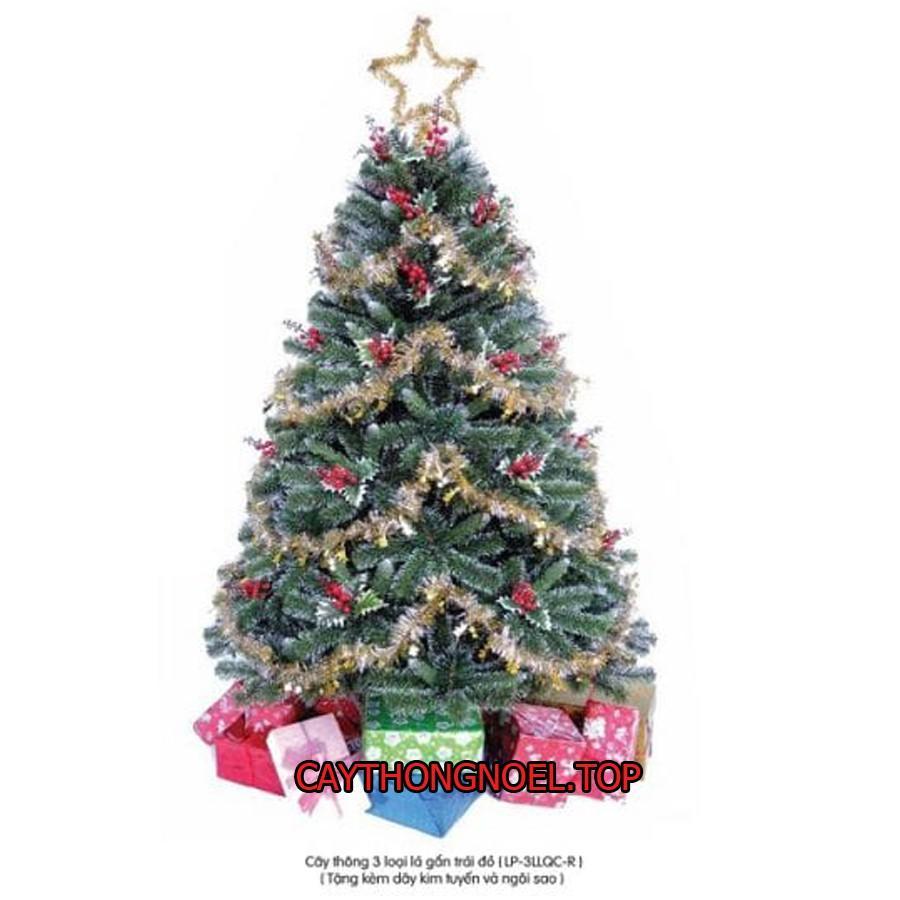 Cây thông noel 3 loại lá gắn trái đỏ 1m5