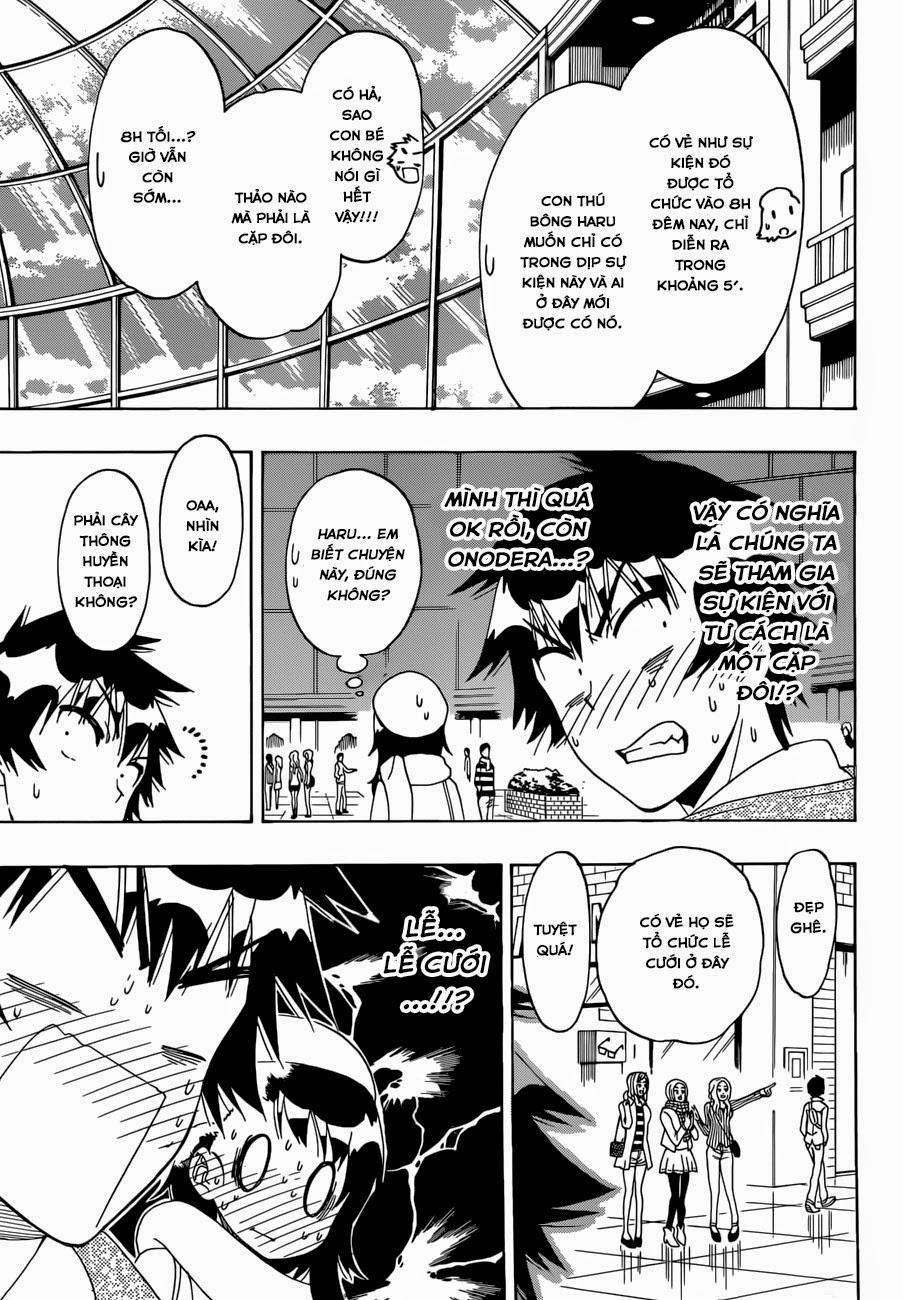 nisekoi - tình yêu giả tạo chapter 165 13